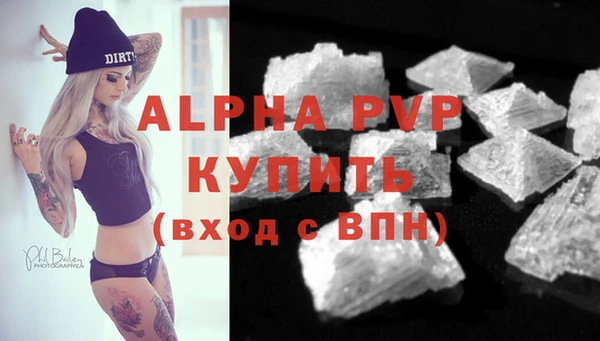 шишки Белокуриха