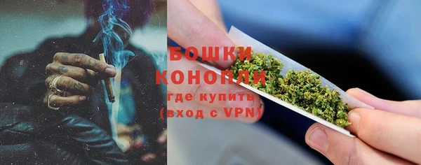 шишки Белоозёрский