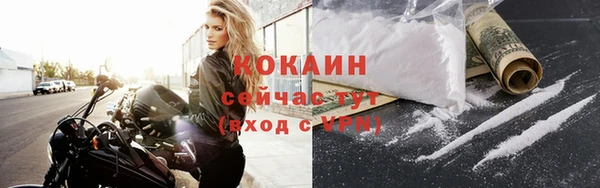 шишки Белокуриха