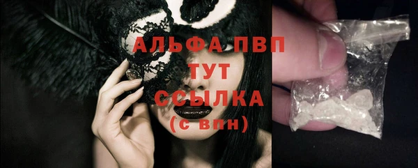 шишки Белоозёрский