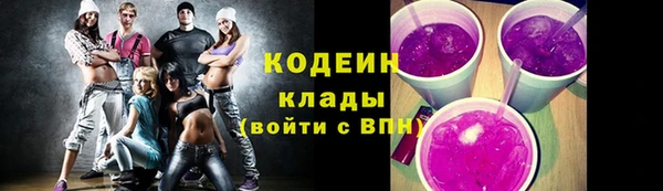 шишки Белокуриха