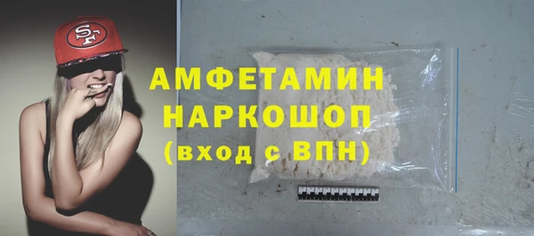 шишки Белокуриха