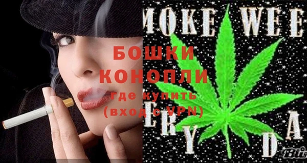 шишки Белокуриха