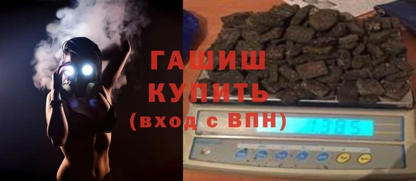 шишки Белокуриха