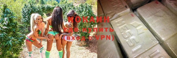 сатива Ступино