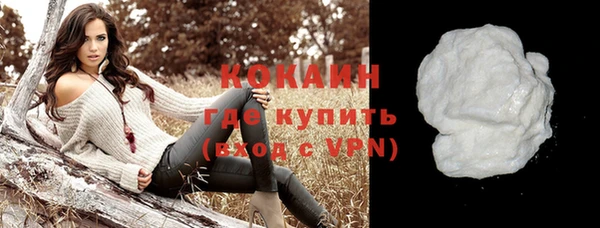 шишки Белоозёрский