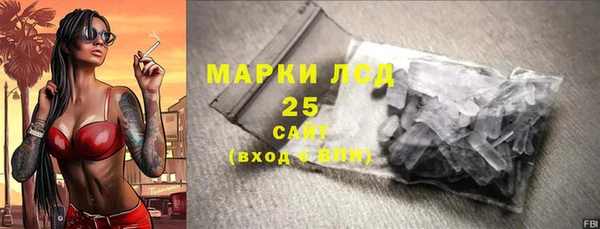 шишки Белоозёрский