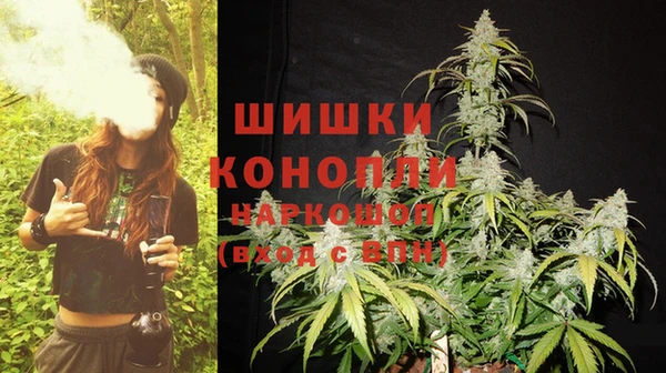 шишки Белокуриха