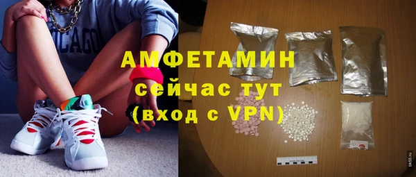 шишки Белоозёрский