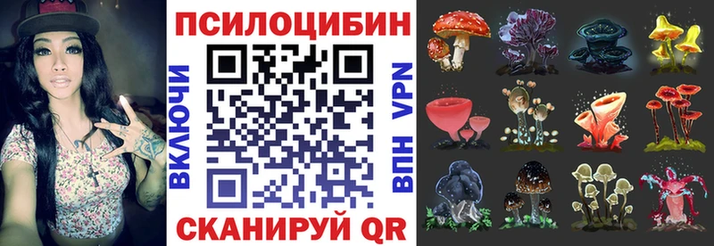 Псилоцибиновые грибы мицелий  Мурино 